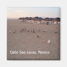 Íman Pássaros na praia em Cabo Magnet