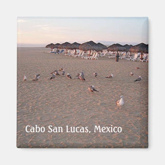 Íman Pássaros na praia em Cabo Magnet (Frente)