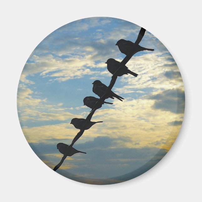 Íman Pássaros num fio (Frente)