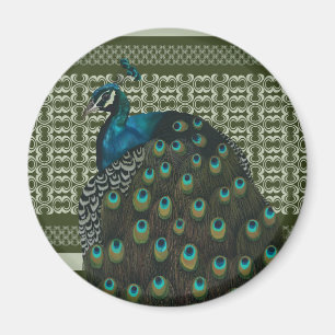 Íman Pássaros-Pássaros-Pássaros-Pássaros-Pavão-Pavão El