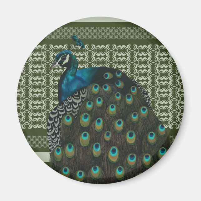 Íman Pássaros-Pássaros-Pássaros-Pássaros-Pavão-Pavão El (Frente)