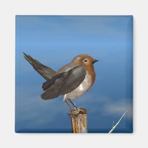 ÍMAN PÁSSAROS/PEITO HYPER VERMELHO DO PISCO DE PEITO