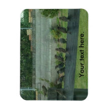 Pássaros Sentados em uma Lâmpada Ferroviária