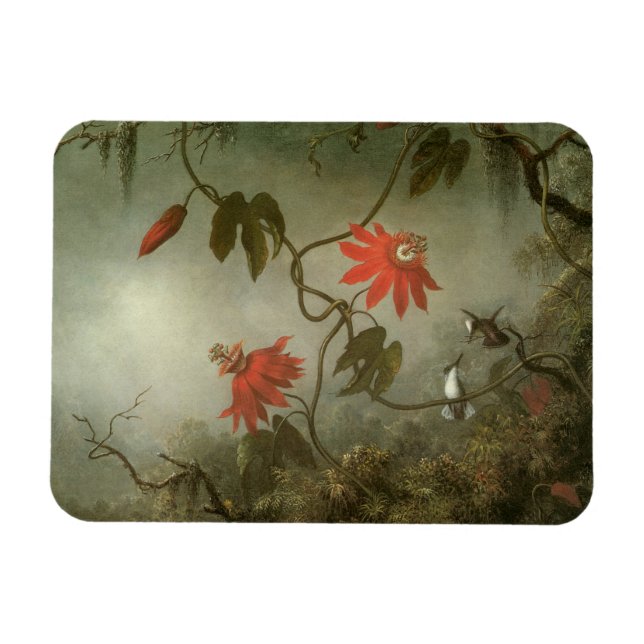 Íman Passion Flowers e Hummingbird por Martin J Heade (Horizontal)