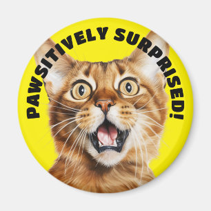 Íman PASSIVAMENTE SURPREENDIDO! Amarelo Gato Louco Engr