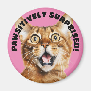 Íman PASSIVAMENTE SURPREENDIDO! Brincadeira, Rosa Gato
