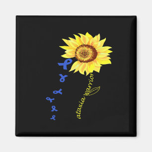 Íman pasta C:\Users\Administrator\Desktop\New - Copiar