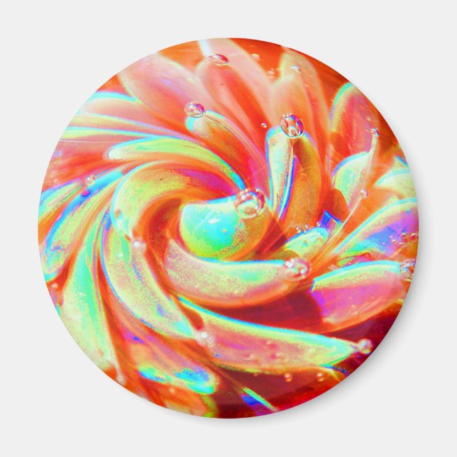 Íman Pastel Rainbow Bubble Ocean Sea Anemone Art Magnet (Frente)