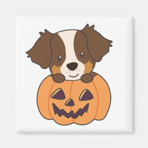 Íman Pastor Australiano Em Pumpkin Cute Happy Magnet