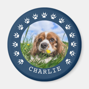 Íman Pata Azul Imprime Foto Pet de Quadro