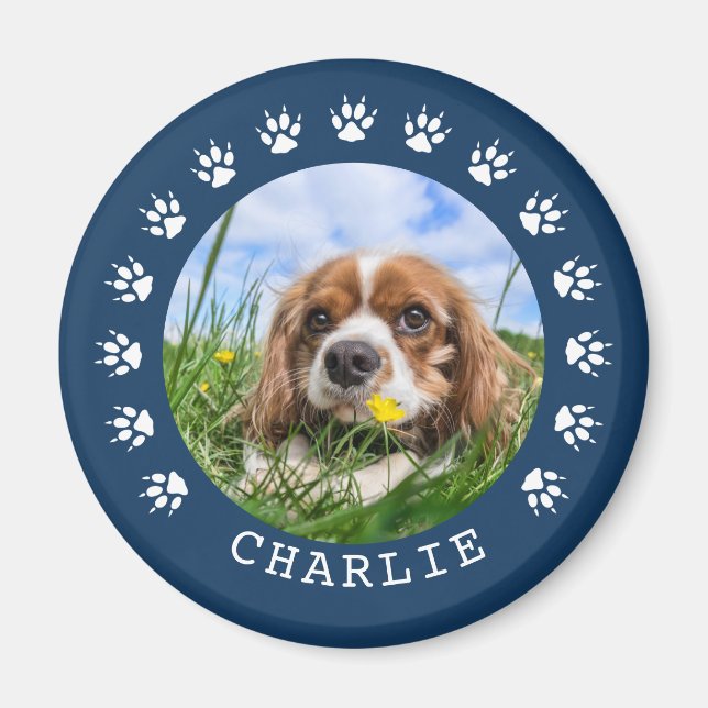 Íman Pata Azul Imprime Foto Pet de Quadro (Frente)