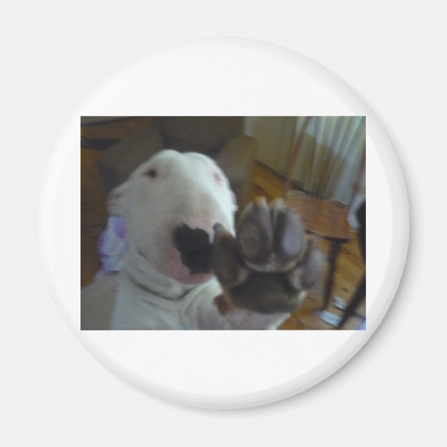 Íman pata de touros (Frente)