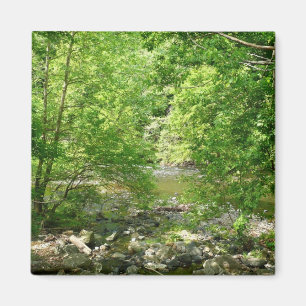 Íman Patapsco River View Maryland - Fotografia Natural