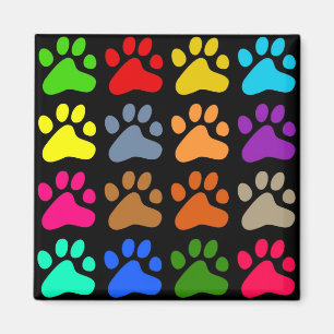 Íman Patas coloridas