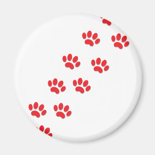 Íman Patas de Gato