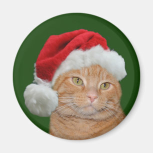 Íman Patas do papai noel