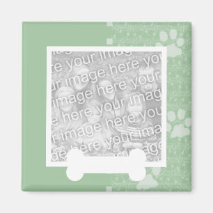 Íman Patas do primavera e ímãs verdes da foto do anim