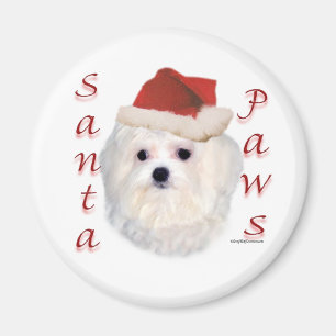Íman Patas maltesas do papai noel