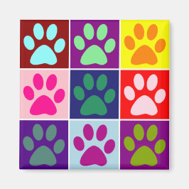 Íman Patas Multicoloridas