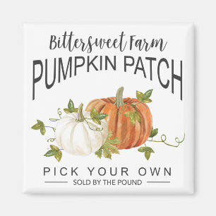 ÍMAN PATCH DE PUMPKIN DE QUEDA