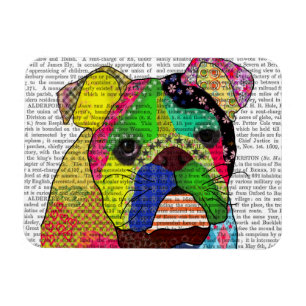 Íman Patchwork Bulldog