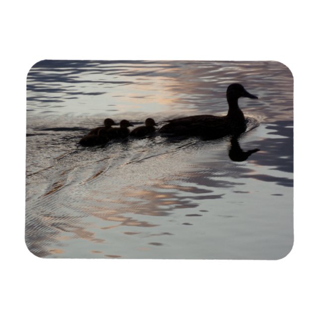 Íman Pato com Patos em Lâmpada Flexível (Horizontal)