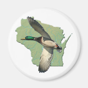 Íman Pato de Wisconsin