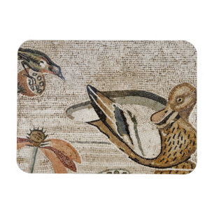 Íman Pato e pássaro, mosaico de Nile, casa do Faun
