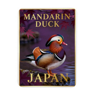 Íman 🦆 Pato-mandarim Japão Ave Exótica