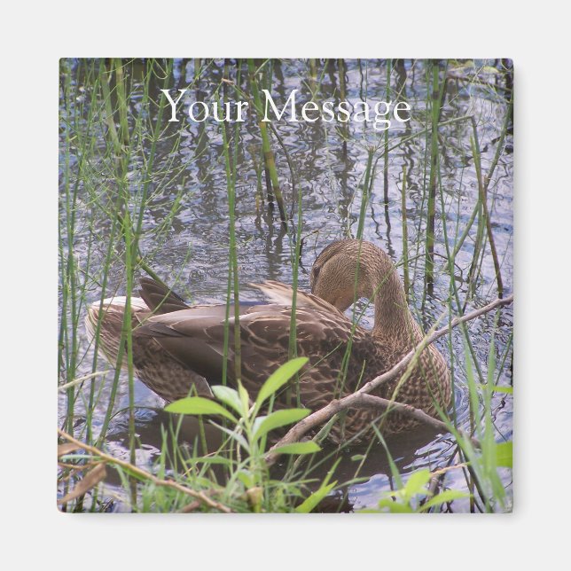 Íman Pato Preening nos Leeds (Frente)