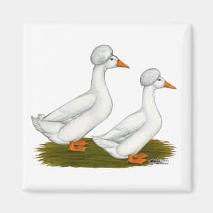 Íman Patos: Branca Deitada