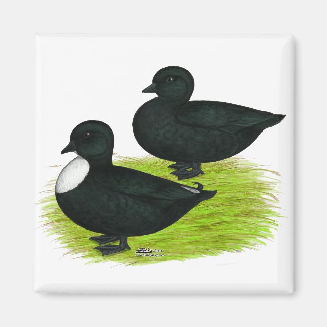 Íman Patos: Chamadas Negras (Frente)
