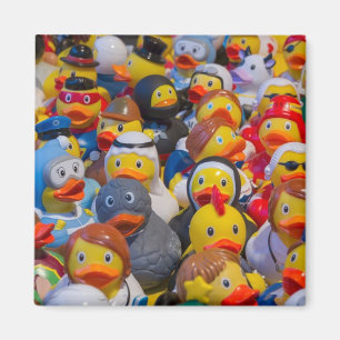 Íman Patos de borracha no traje