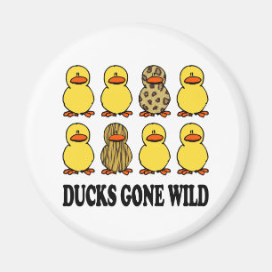 Íman Patos Desapareceram