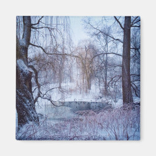 Íman Patos na lagoa congelada A no Central Park de New