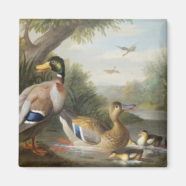 Íman Patos na paisagem fluvial (Frente)