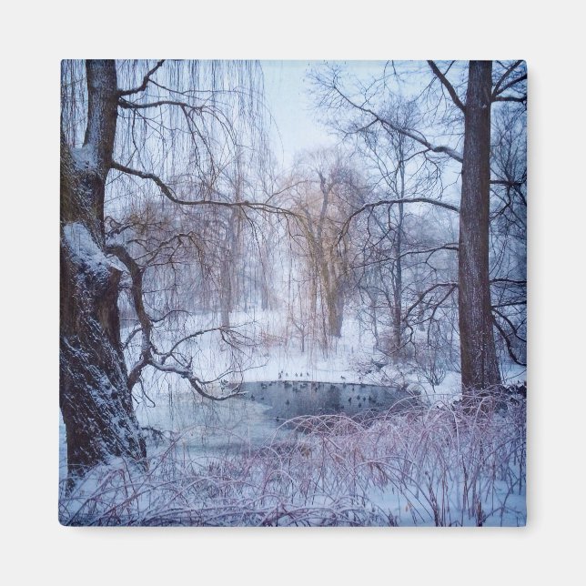 Íman Patos num galo congelado no Parque Central de Nova (Frente)