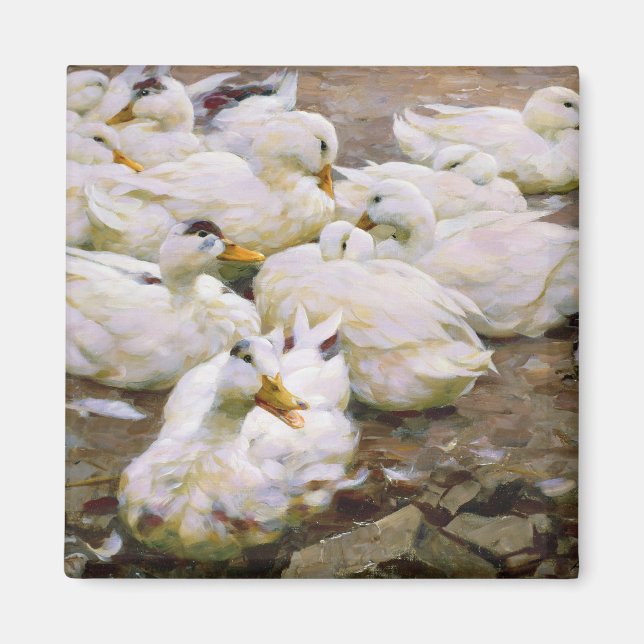 Íman Patos num lago (Frente)
