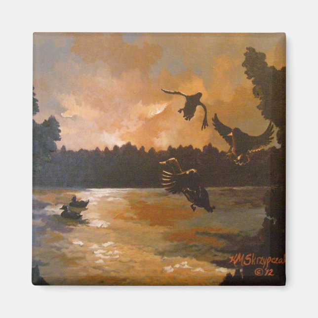 Íman Patos Se Fixando No Magnet (Frente)