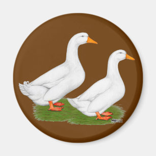 Íman Patos: White Pekins
