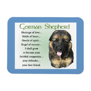 Íman Patrimônio German shepherd do Amor