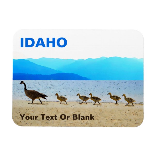 Íman Patrulha de Shore - Canadá Geese (Horizontal)