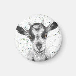Íman Patty Goat