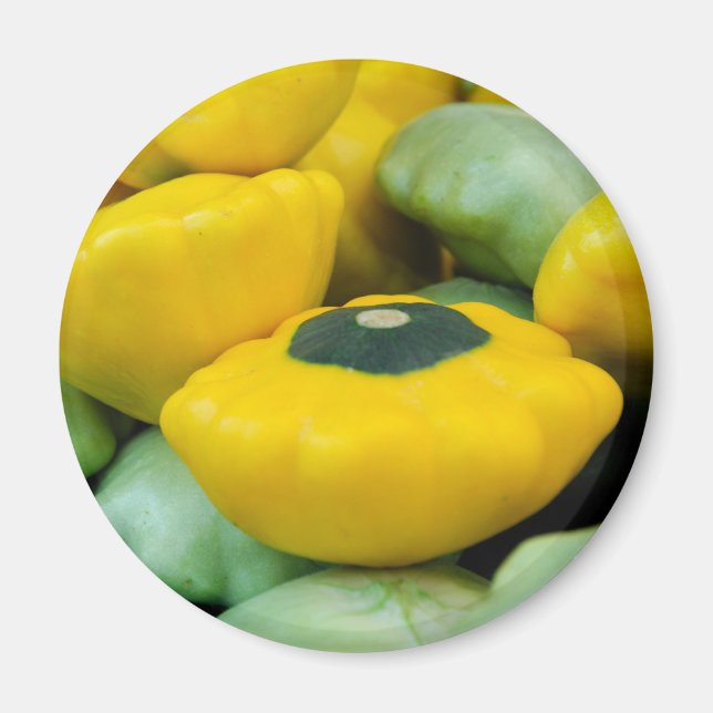 Íman Pattypan Squash (Frente)