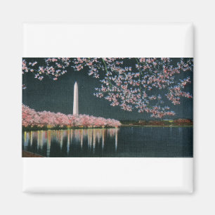 Íman PAU42 Washington em Night.tif