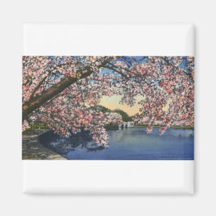 Íman PAU43 Basin.tif maré