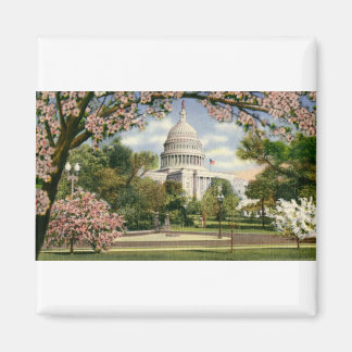 Íman PAU46 US Capitol.tif