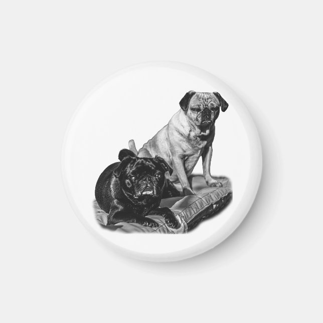 Íman Pausa Pug, Ímã Sombreado (Frente)