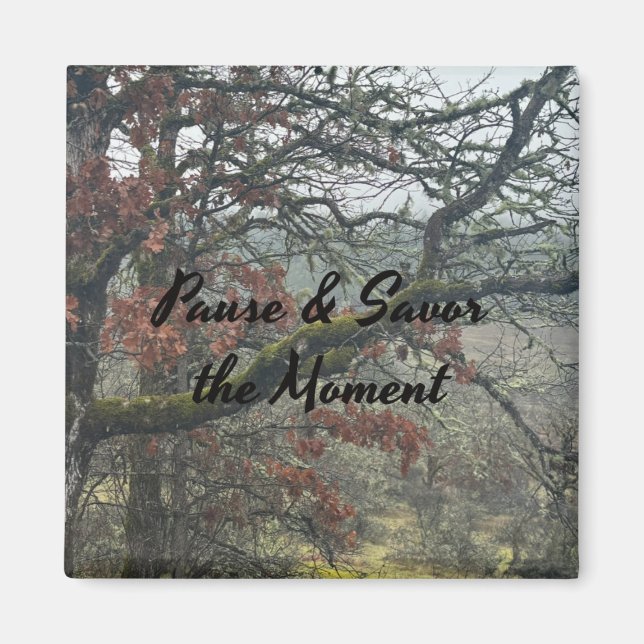 Íman Pausar e salvar o ímã de gravação de momento (Frente)