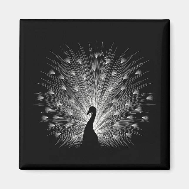 Íman Pavão branco (Frente)